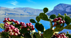 sicily1