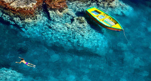sito-header